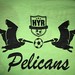 2019 Spring Soccer D2 Pelicans