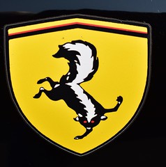 Hey! a Ferrari.........NO.........