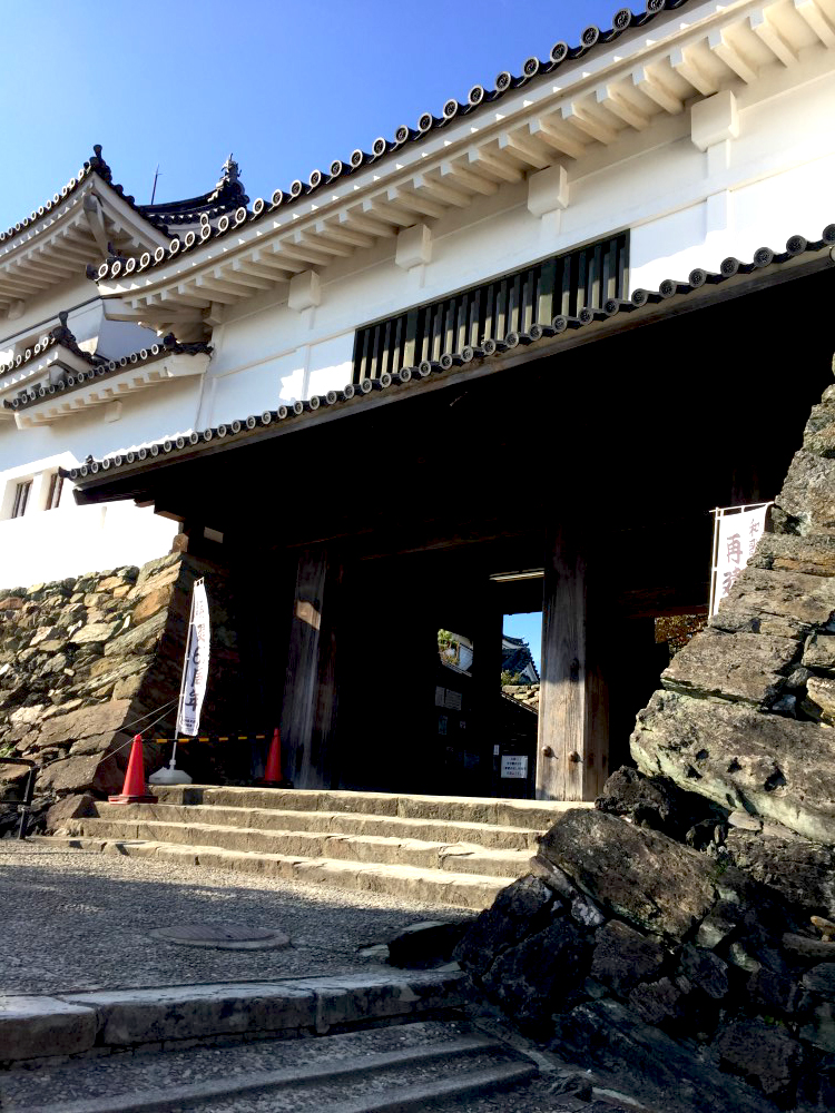 和歌山∥日本百大名城和歌山城(Wakayama Castle)︱天守閣︱和歌山歷史館 31 46681988525 544c64afa6 o
