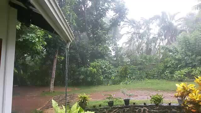 : Sri Lanka. Tropical heavy rain