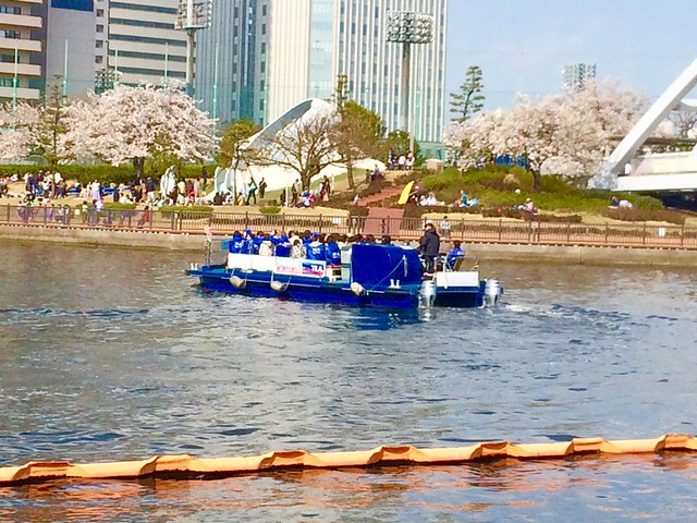 天王洲運河賑わうクルーズ船と桜
