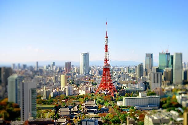 東京タワー眺望良いよね。増上寺とか大きな...