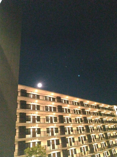 こんな美しい満月が観れるマンションですよ...