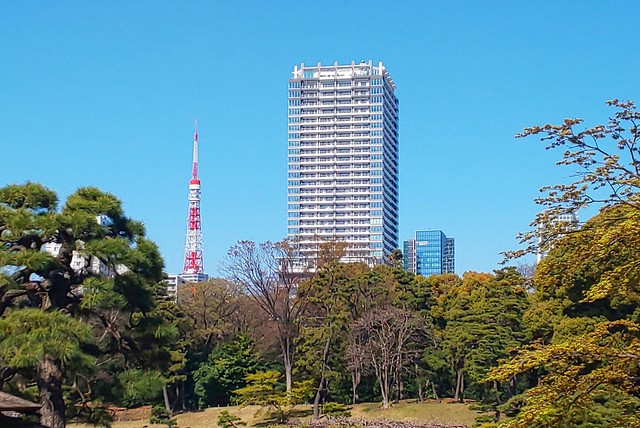 東京タワーと、