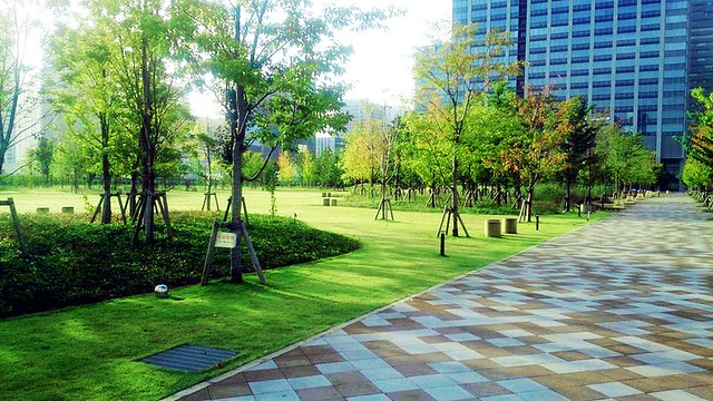 豊洲さんは芝浦中央公園がこんなに綺麗に整...