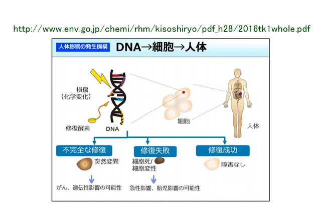 DNAが突然変異して遺伝することもある。