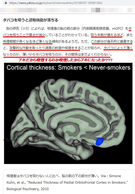依存症上州喫煙者の脳が正常という公的サイ...