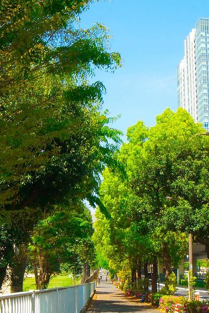 浜松町の高級マンションの前の歩道は緑溢れ...