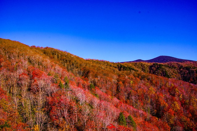 蔵王山麓の紅葉。素晴らしい風景でした。こ...