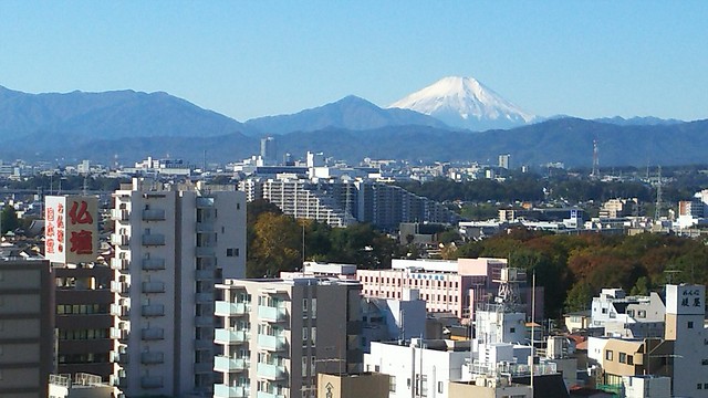 富士山の雪化粧が裾野まで広がってきました...