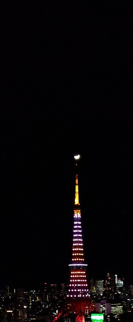 こちらでした。日没ならぬ月没でタワーの上...