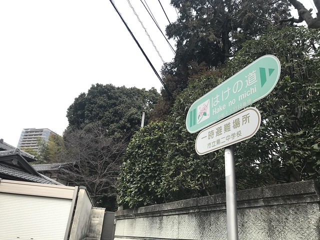 はけの道を歩いて小金井神社まで行ってみま...