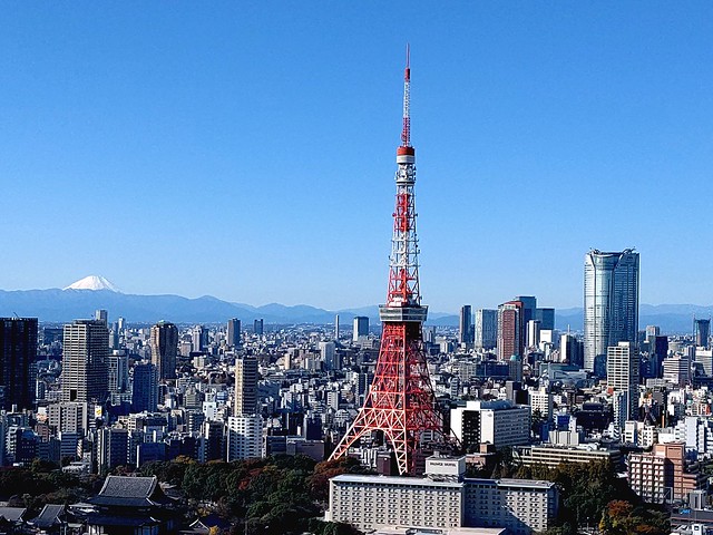 前に投稿されたこの東京タワーと富士山の組...