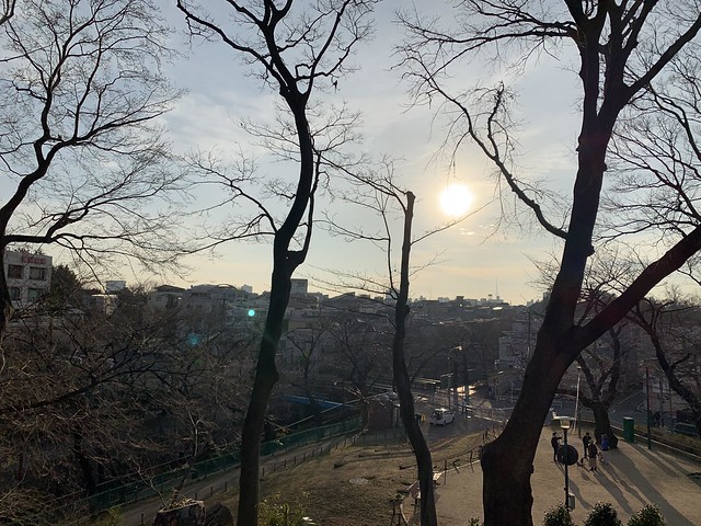 加賀公園の築山から王子方面を撮影（2月中...