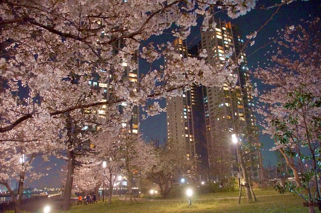 夜桜の花見も出来る公園直結は妬みんネガの...