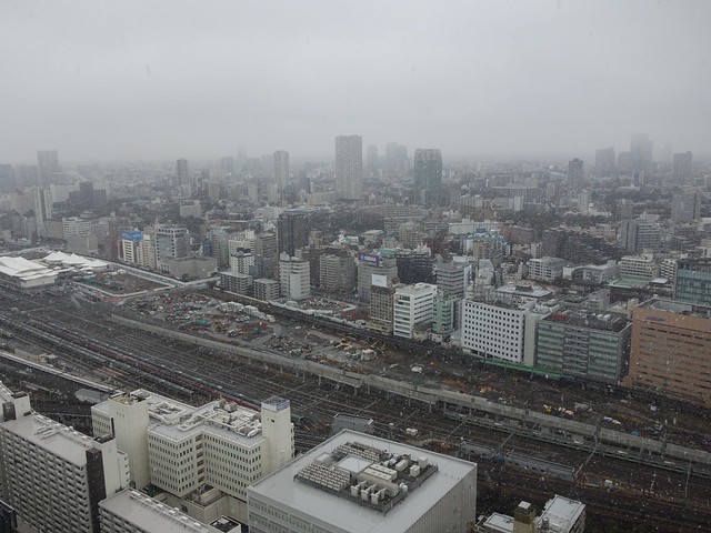 本日、ただいまの東京は、雪！大粒の牡丹雪...