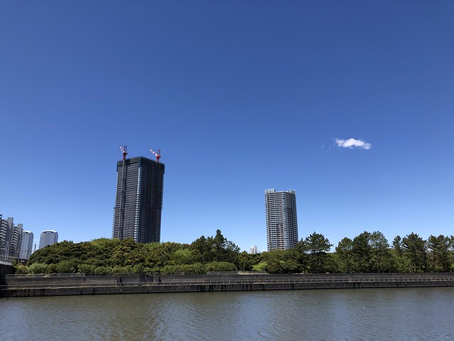 花見川からの写真です。今日は空が綺麗です...
