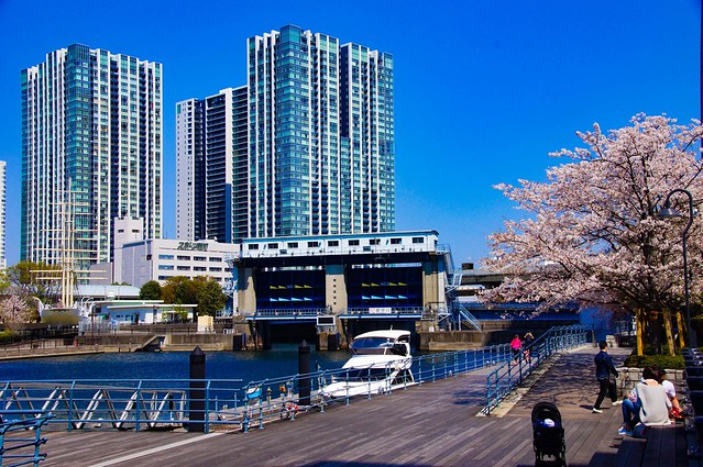 東京は徳川家康が開発を始めた水の都。江戸...