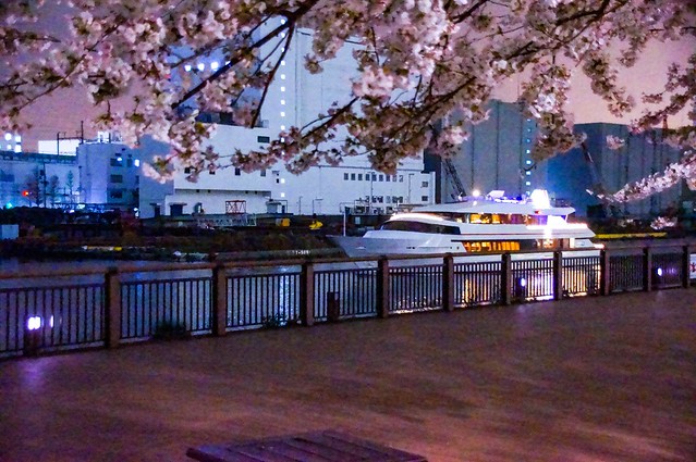 桜と水辺とレストラン船