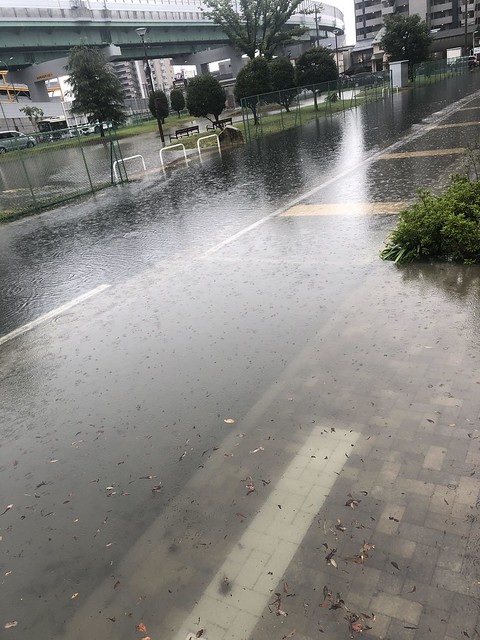 今日の午前中の大雨で、セントラル沿いの道...