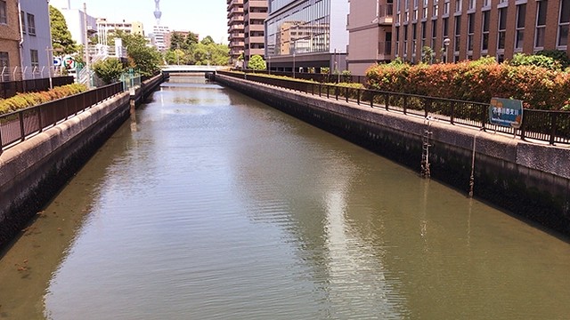 豊洲の運河