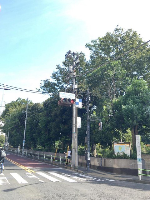 軽井沢から戻り近所を散歩中。いいお天気で...