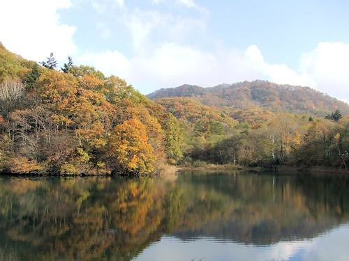 雲場の池は、初心者が軽井沢で必ず行くスポ...