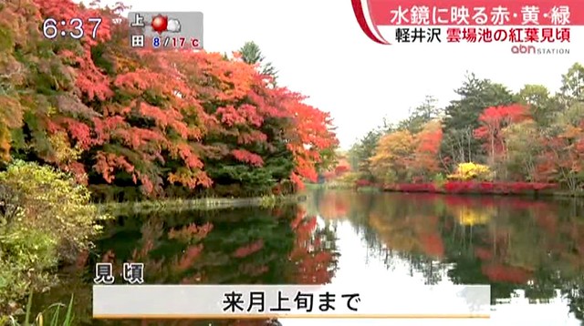 今朝のニュース映像。雲場池の紅葉はそろそ...
