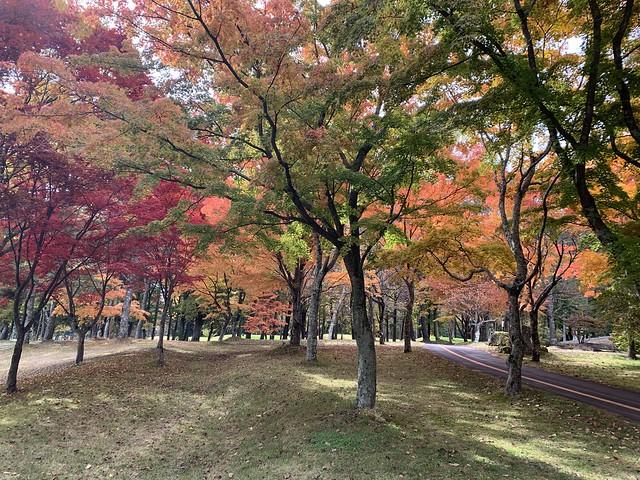軽井沢の紅葉を撮って来ました。