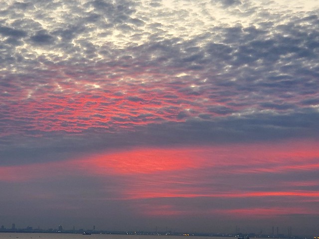 近所に居住していますが、東京湾の朝日や赤...