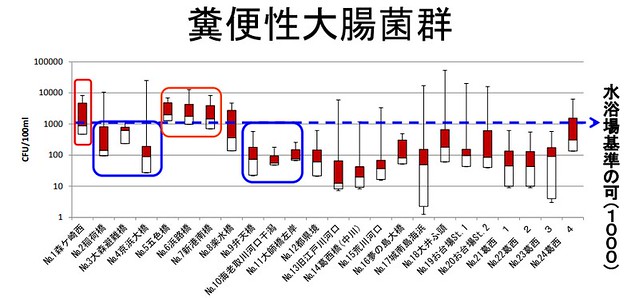 数値で示す東京湾の水質悪化状況港南４と森...