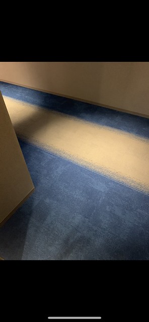 廊下のカーペットはこれですかね！？