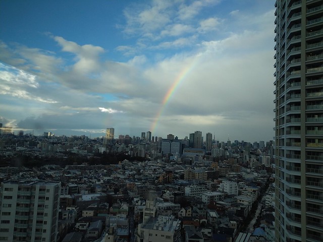 今日は雨上がりにきれいな虹が見えましたね
