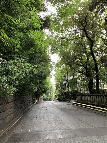 郊外さんは、六本木や赤坂の大通りから少し...