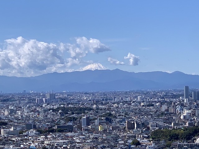 シティビューでも、雪化粧した富士山が今朝...