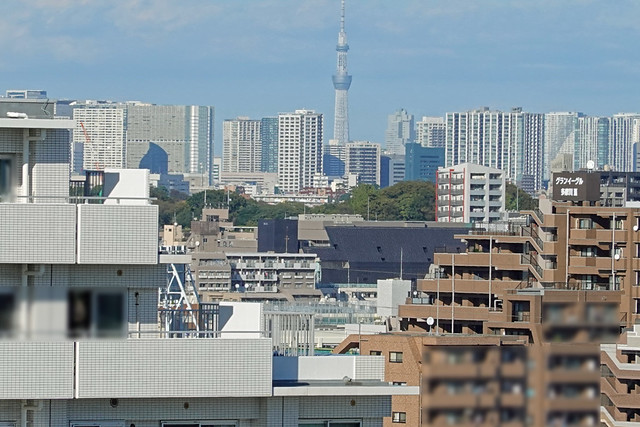 東京スカイツリーは屋上に上らないと見られ...