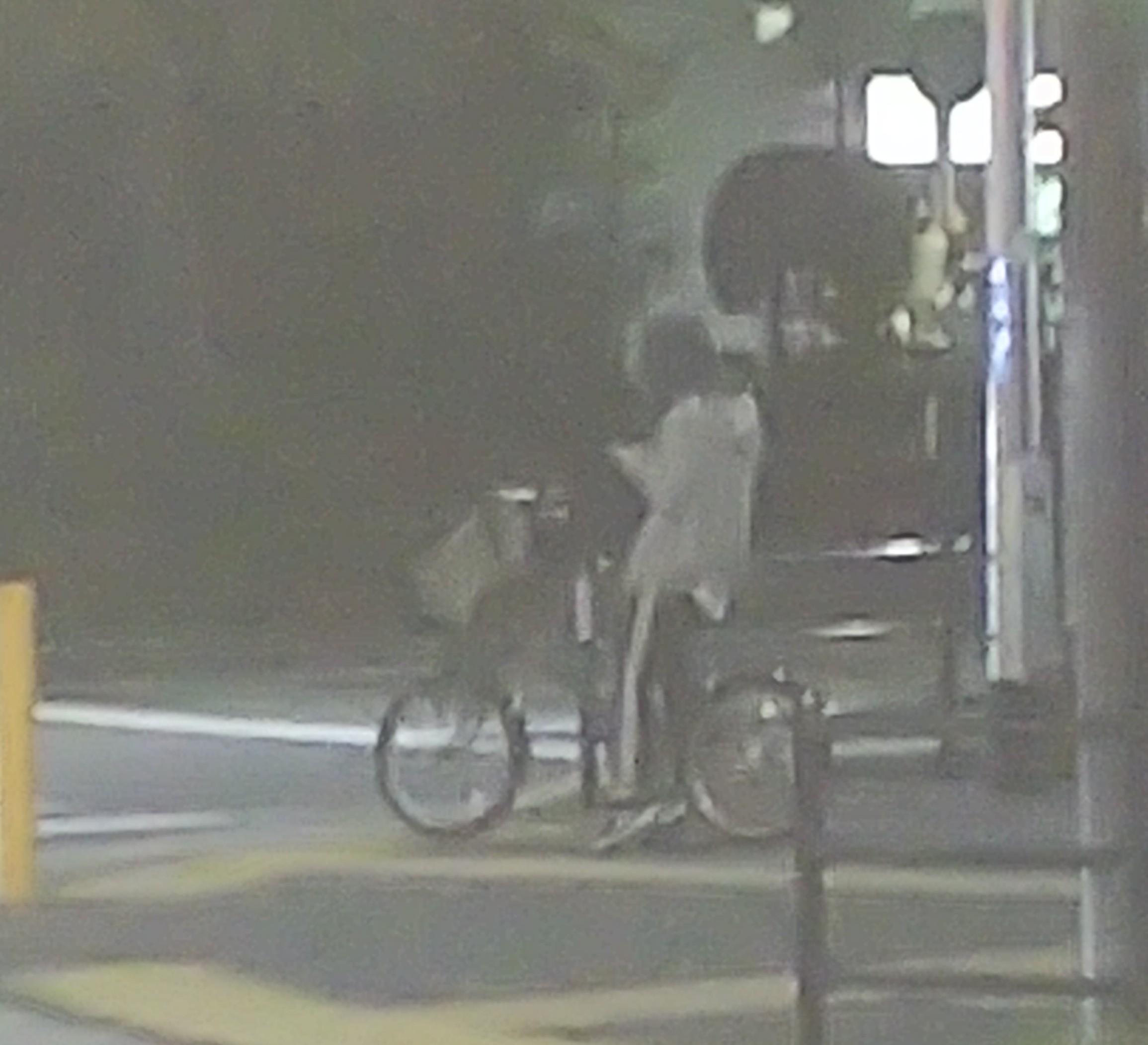 自転車で歩行者を煽る非常識女。