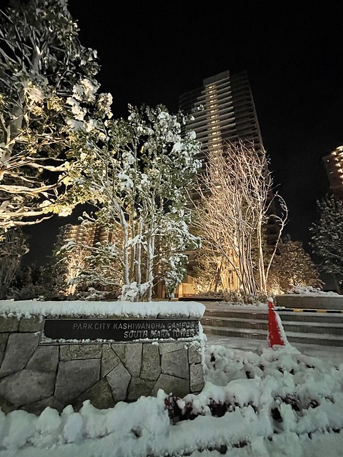 雪景色のサウスマークタワーも綺麗でした