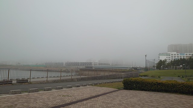 今日は霧につつまれましたね
