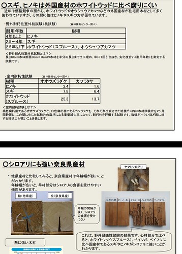 奈良県もホワイトウッドの危険性を指摘。