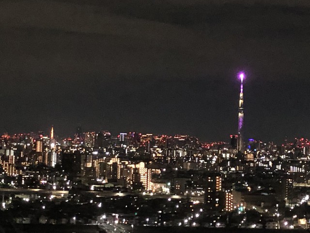 西の夜景です。遠くに小さいですが、東京タ...