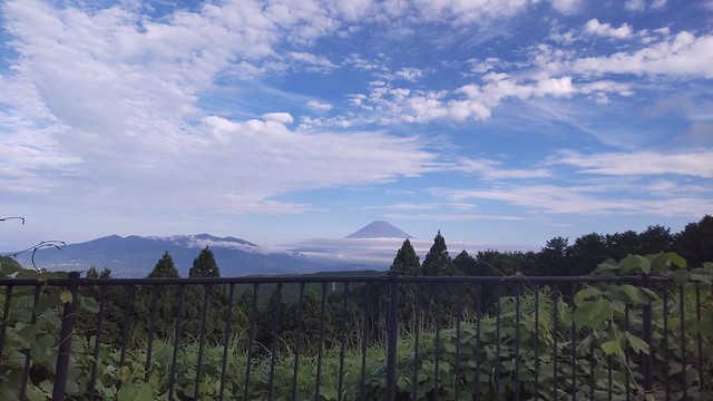 今月の富士山