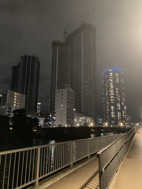 新島橋と夜のパークタワー。