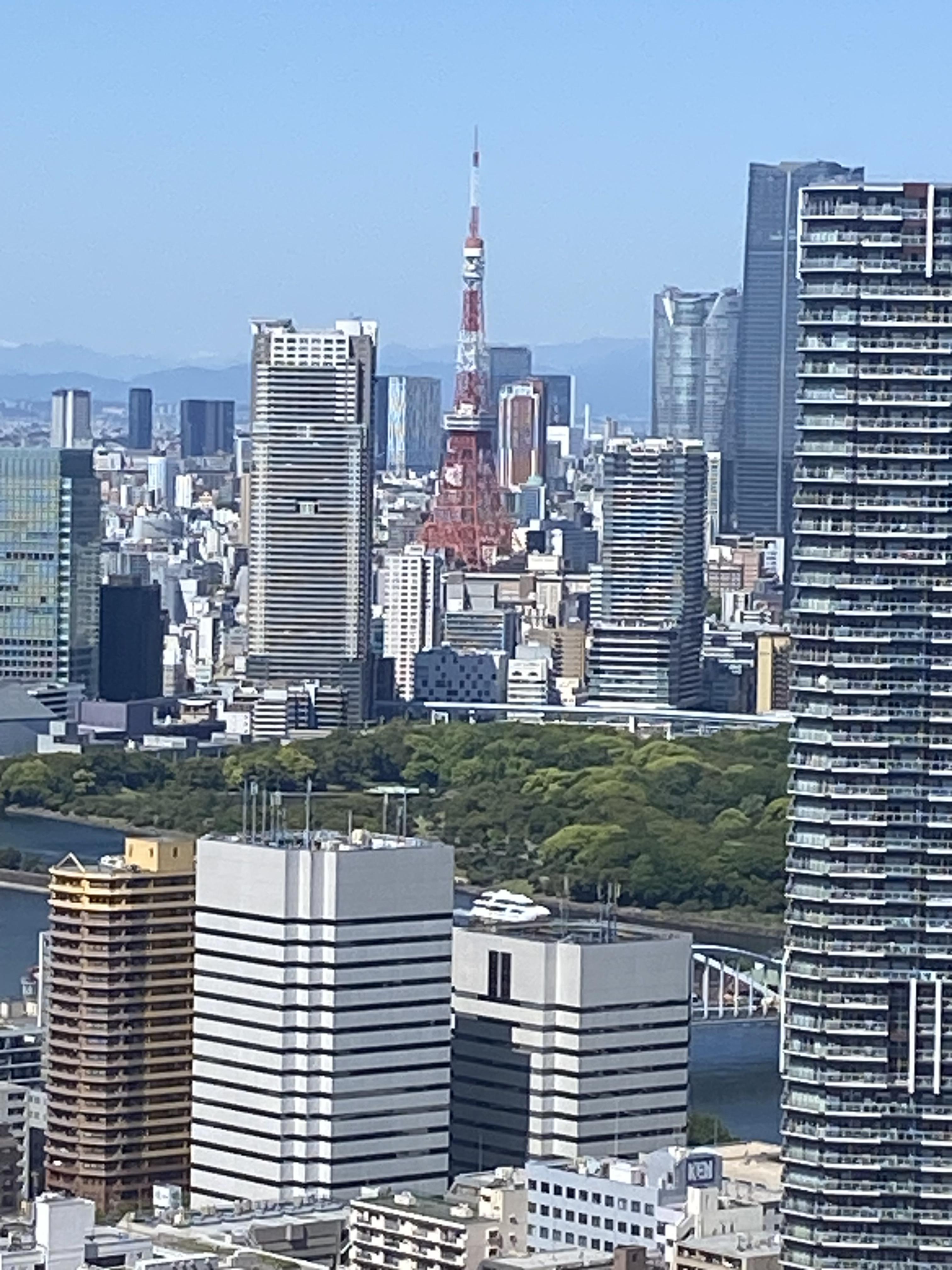 東京タワーは、まだ見えます。