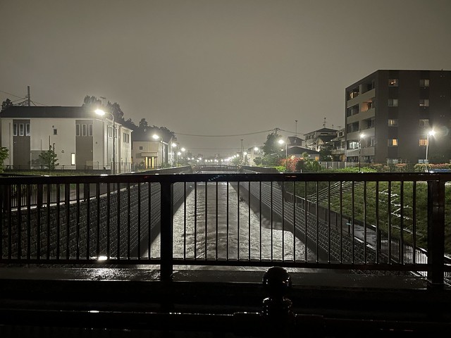 本日6/2は台風の大雨でしたが、石神井川...