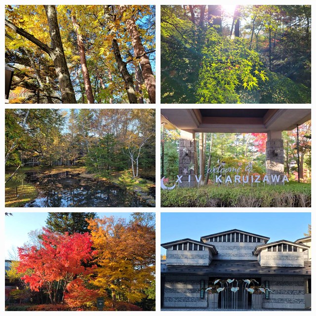 エクシブ軽井沢内の紅葉もとても素晴らしい...