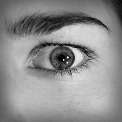 Look (134/365)
