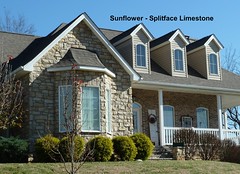 Splitface Limestone: Sunflower • <a style="font-size:0.8em;" href="http://www.flickr.com/photos/40903979@N06/6544125839/" target="_blank">View on Flickr</a>