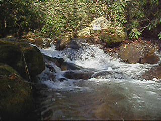 7-Second Video: Corner Rock Creek, Pisgah National Forest
