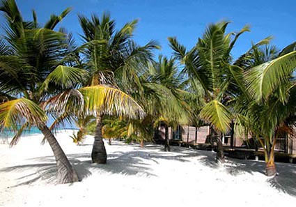 kuredu island resort